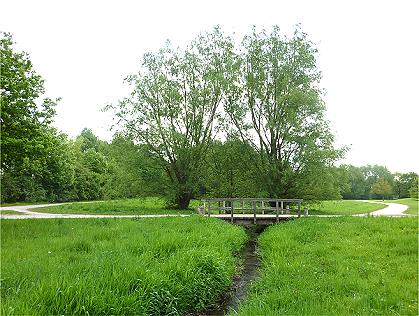 1 Motiv in den Jahreszeiten