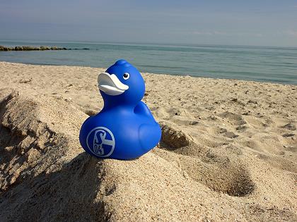 Schalker Ente