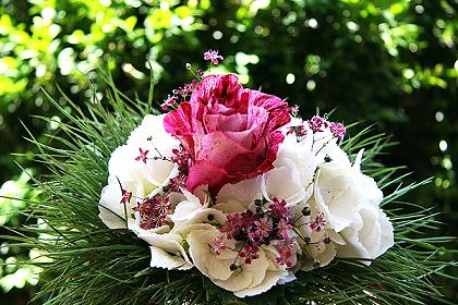 Rose mit Horthensien