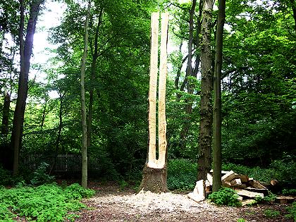 Gespräch bder Baumgeister